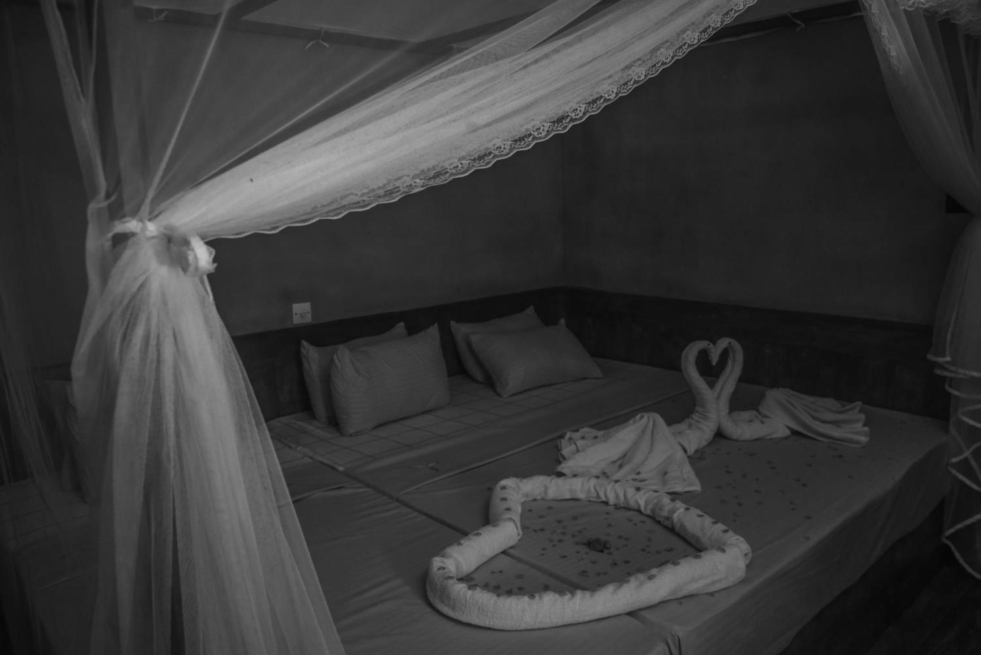 Sinharaja Riverside デニヤヤ エクステリア 写真