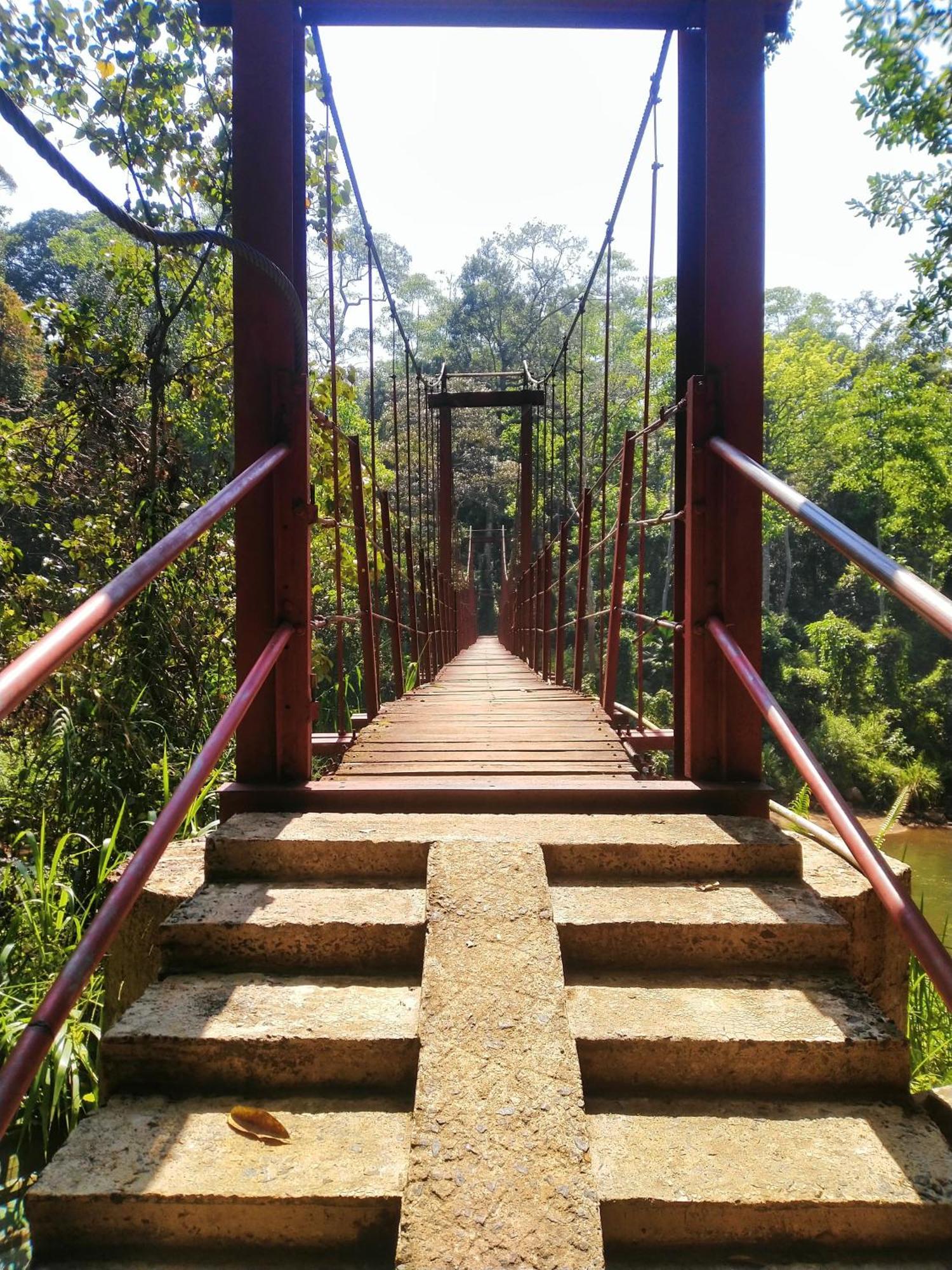Sinharaja Riverside デニヤヤ エクステリア 写真