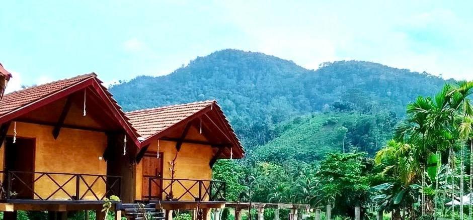 Sinharaja Riverside デニヤヤ 部屋 写真
